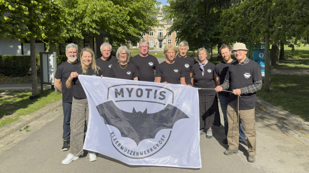 werkgroep myotis